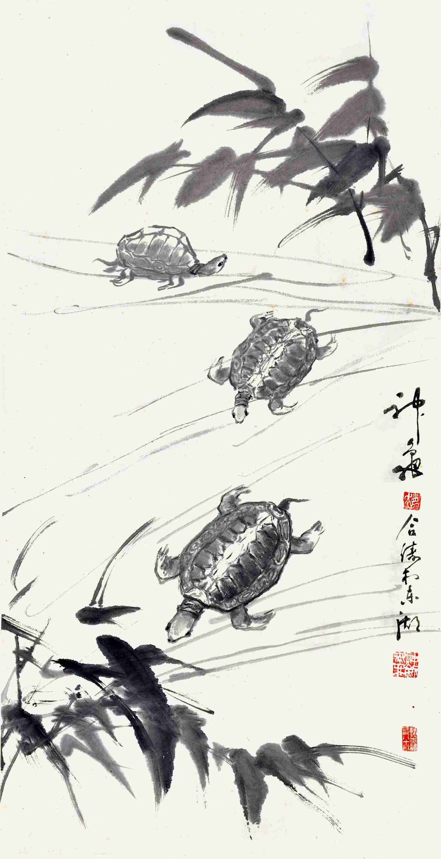 赵合俦 神龟图